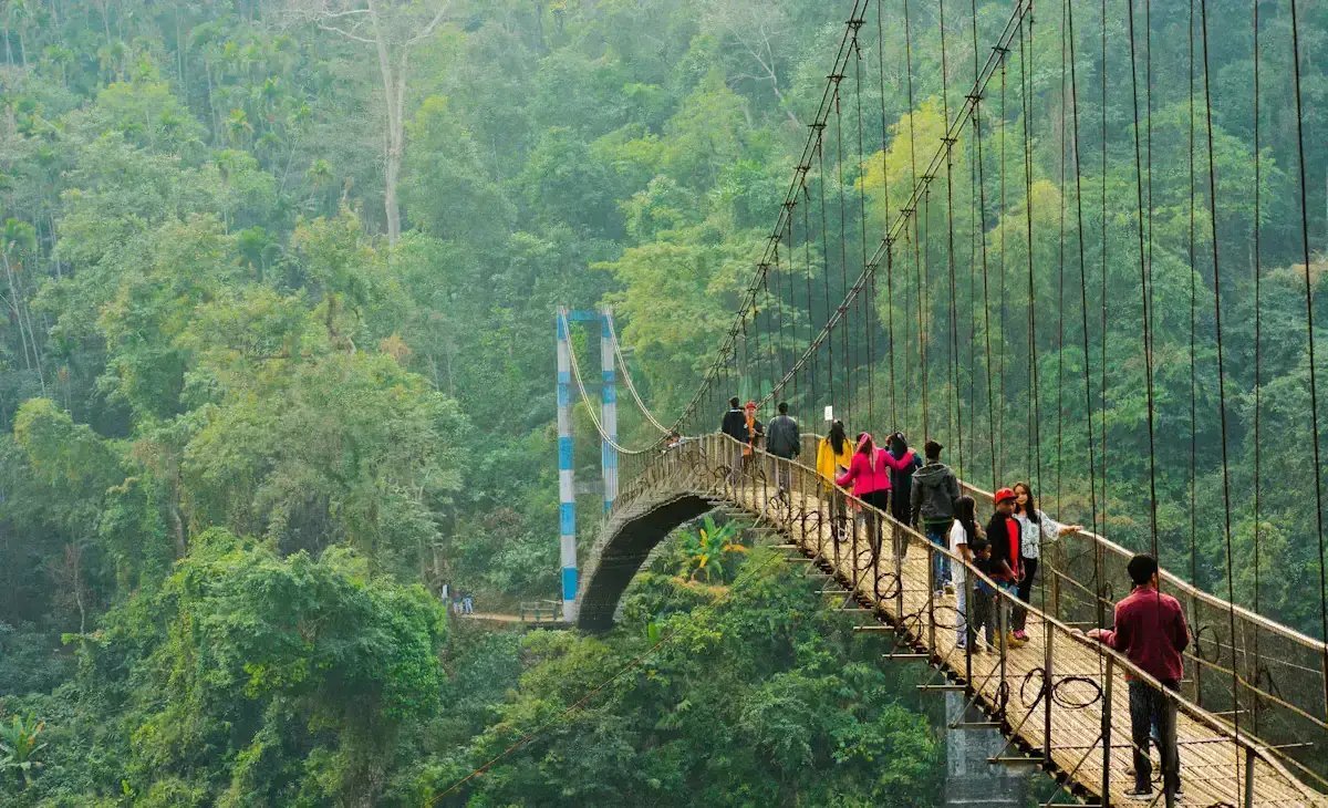 A view of the living root bridges in Meghalaya